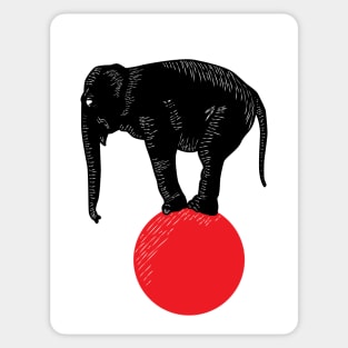 Elephant circus black, white and red Sticker